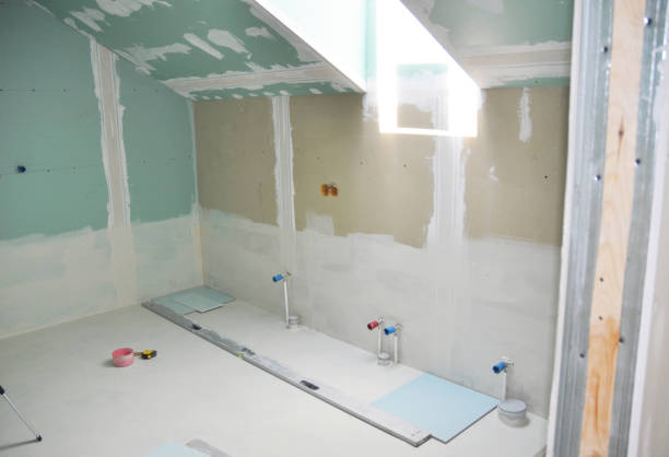 Best Residential Mold Inspection & Testing  in Springfield, KY