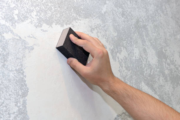 Best Mold Remediation for Healthcare Facilities  in Springfield, KY