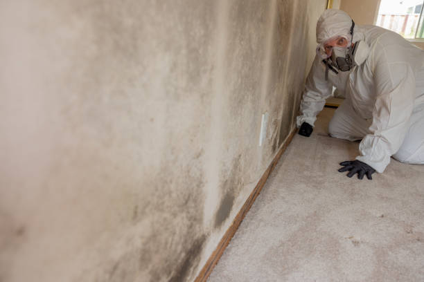 Best Air Quality Testing for Mold Spores  in Springfield, KY
