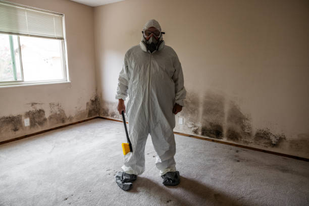 Best Crawl Space Mold Remediation  in Springfield, KY