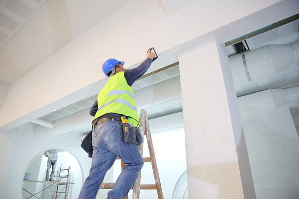 Mold Odor Removal Services in Springfield, KY