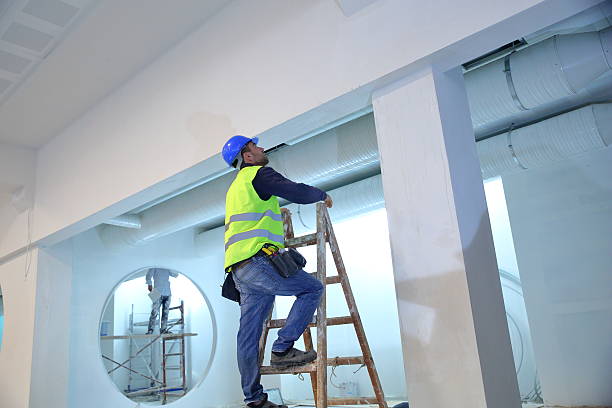 Best Forensic Mold Investigation  in Springfield, KY