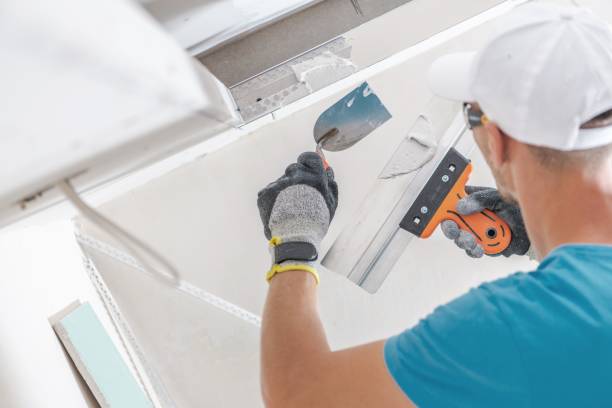 Best Asbestos and Lead Testing During Mold Inspection  in Springfield, KY